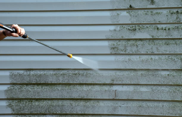 Best Affordable Pressure Washing  in Edburgh, IN