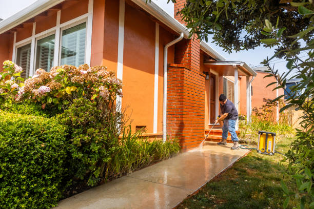 Best Power Washing Near Me  in Edburgh, IN