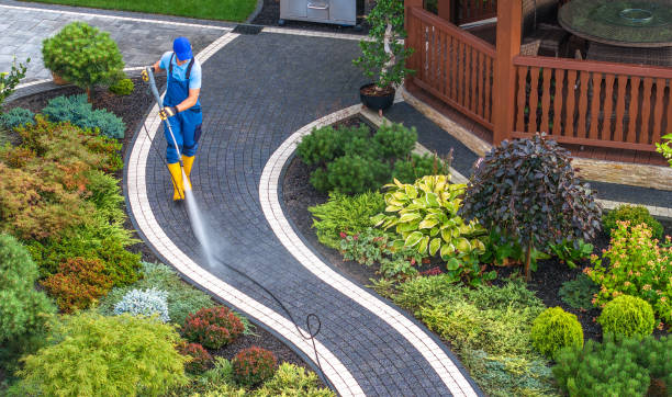 Best Roof Pressure Washing  in Edburgh, IN